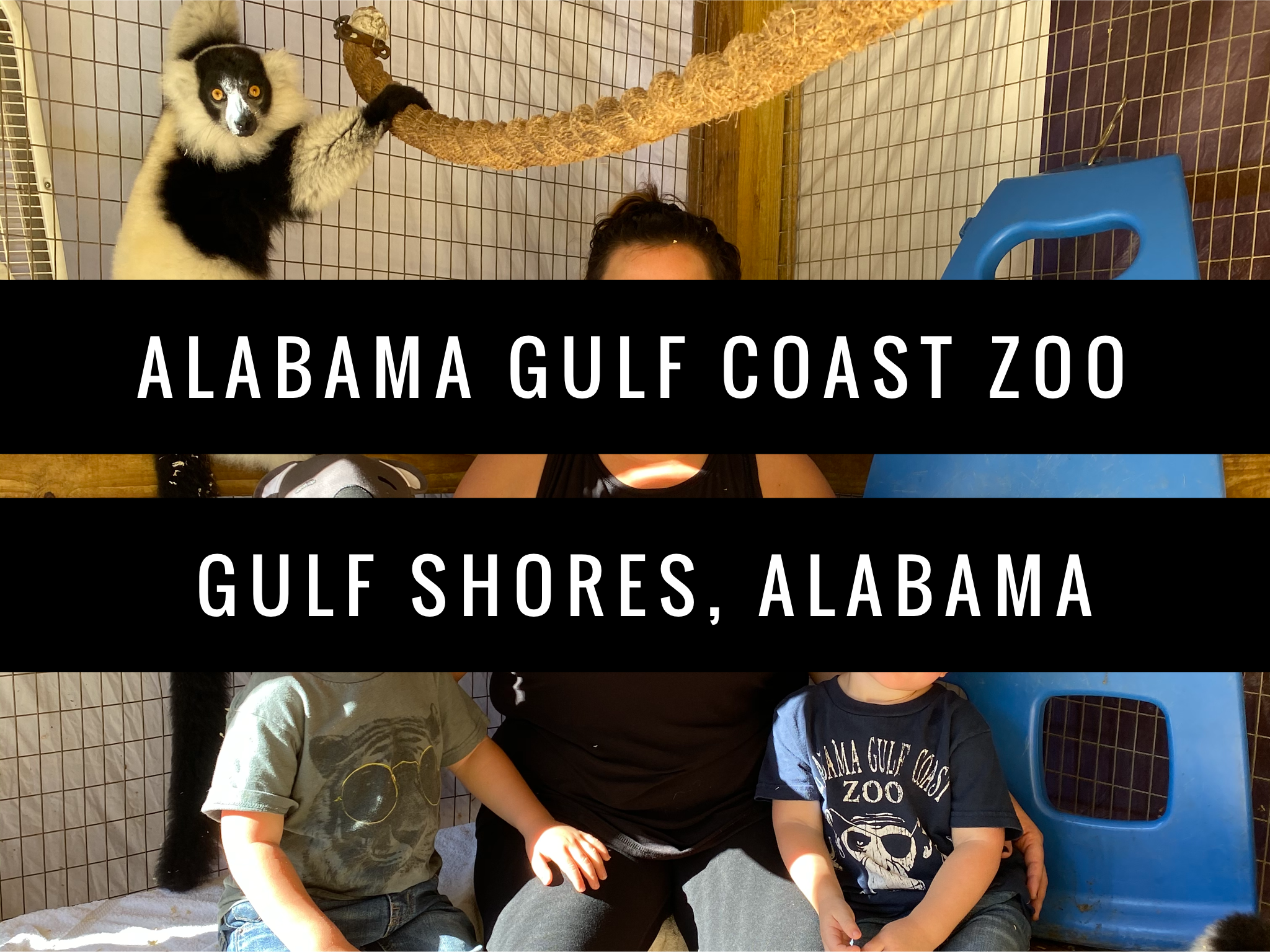 Alabama Gulf Coast Zoo Review